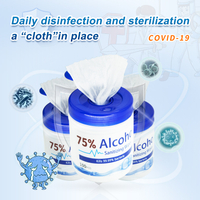 Alcohol disinfection wet wipes