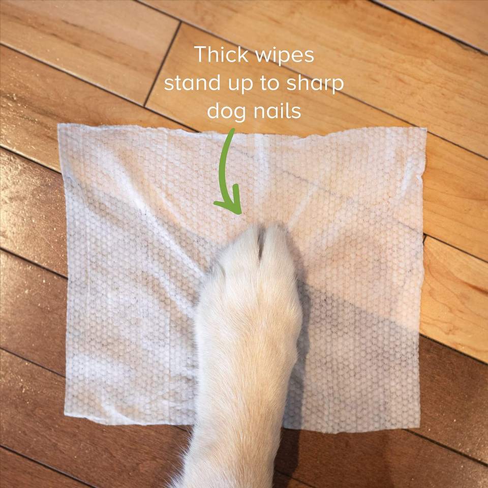 Pet Grooming Wipes Biodegradable Pet Cleaning Moist Tooth Eye Ear Wet Pet Wipes