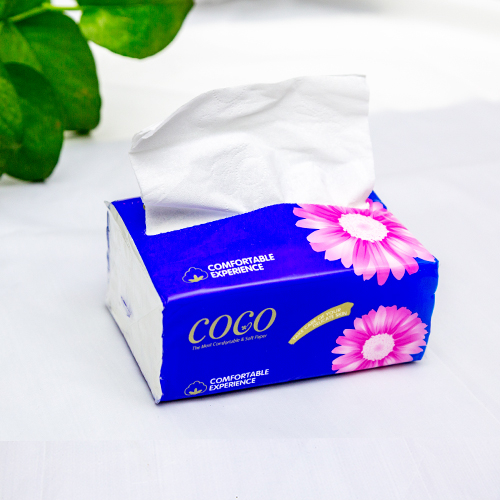 Bag facial tissue